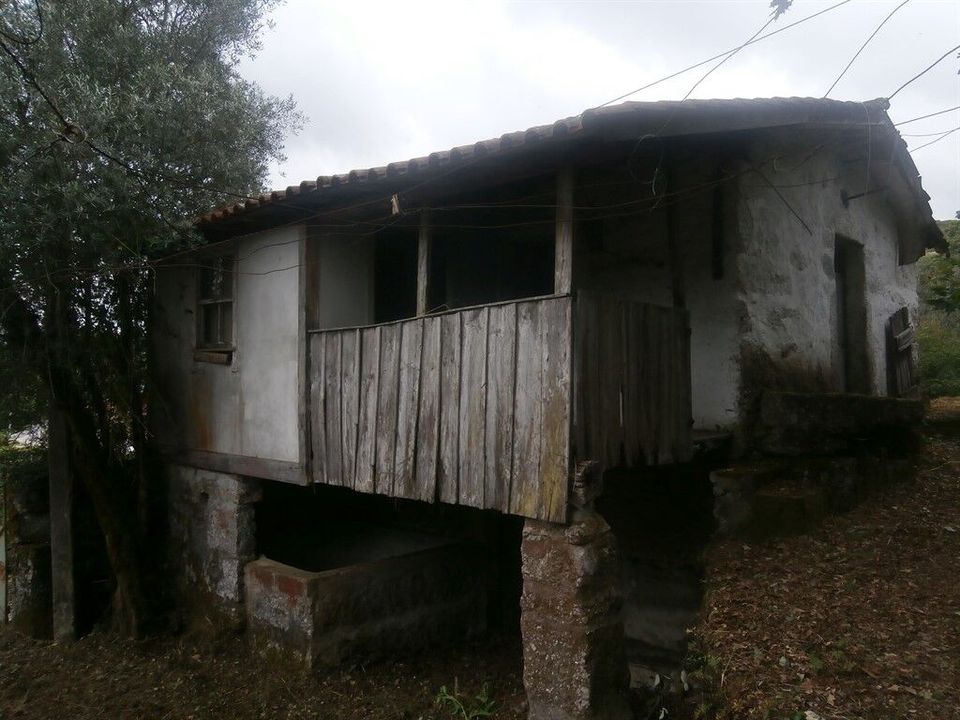 Farm i Povoa de Lanhoso, Braga - foto 4