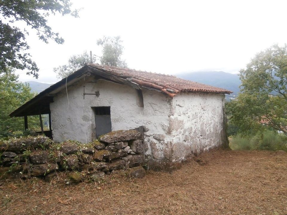 Farm i Povoa de Lanhoso, Braga - foto 5