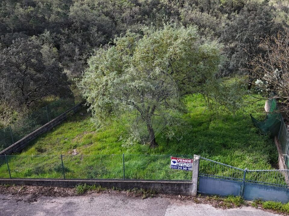 Helårsgrund i Casais e Alviobeira, Santarem - foto 5