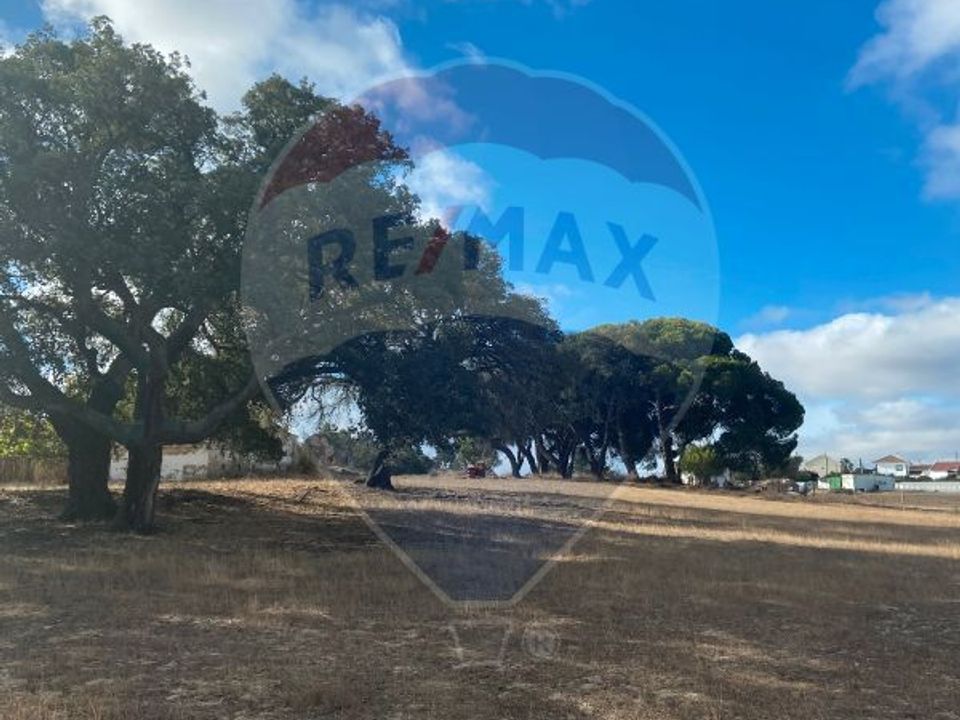 Granja a Moita, Setubal - foto 2