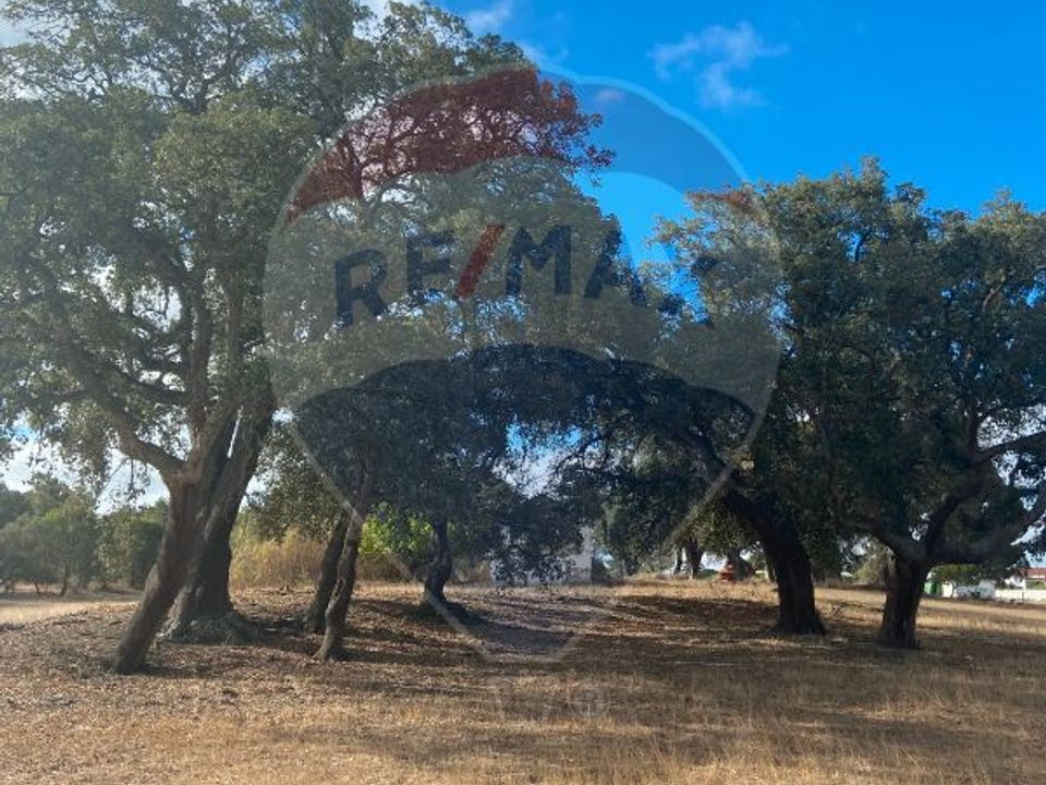 Granja a Moita, Setubal - foto 3
