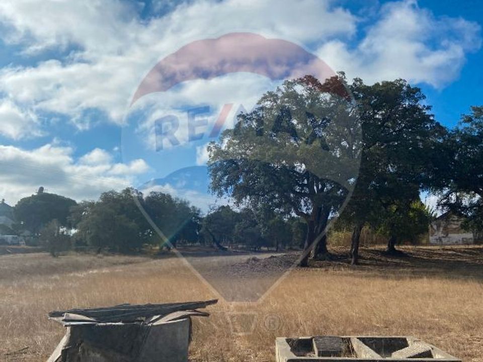 Granja a Moita, Setubal - foto 5