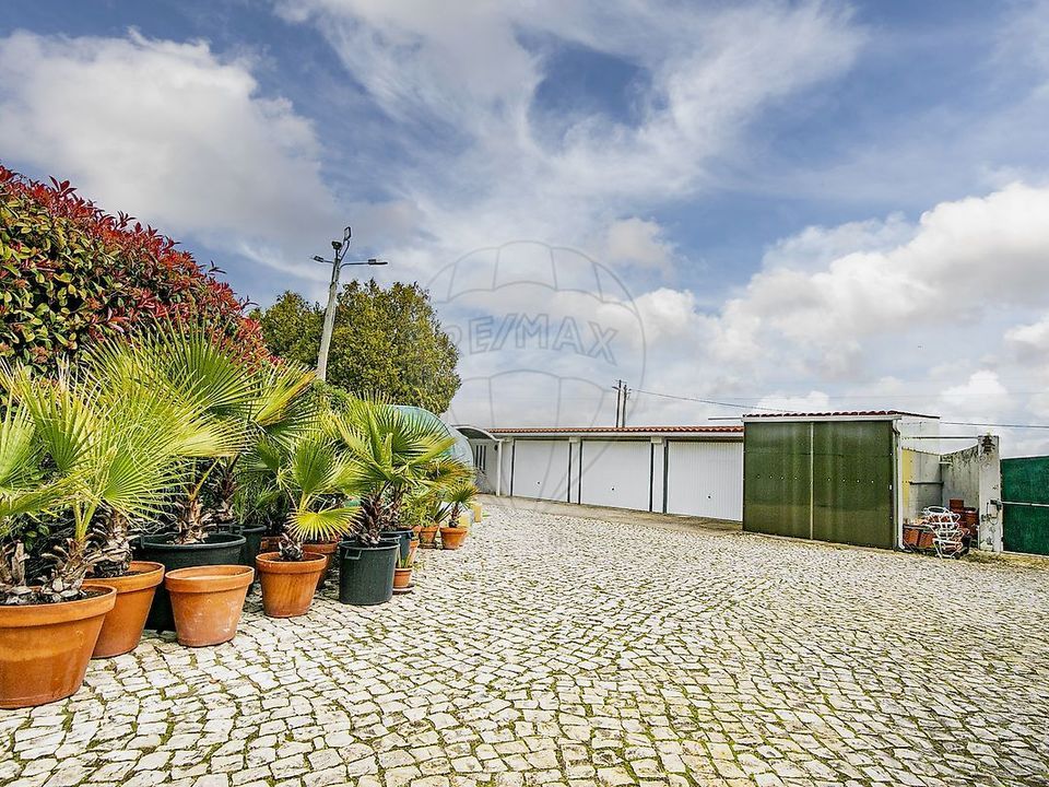 Farm i Palmela, Setubal - foto 4