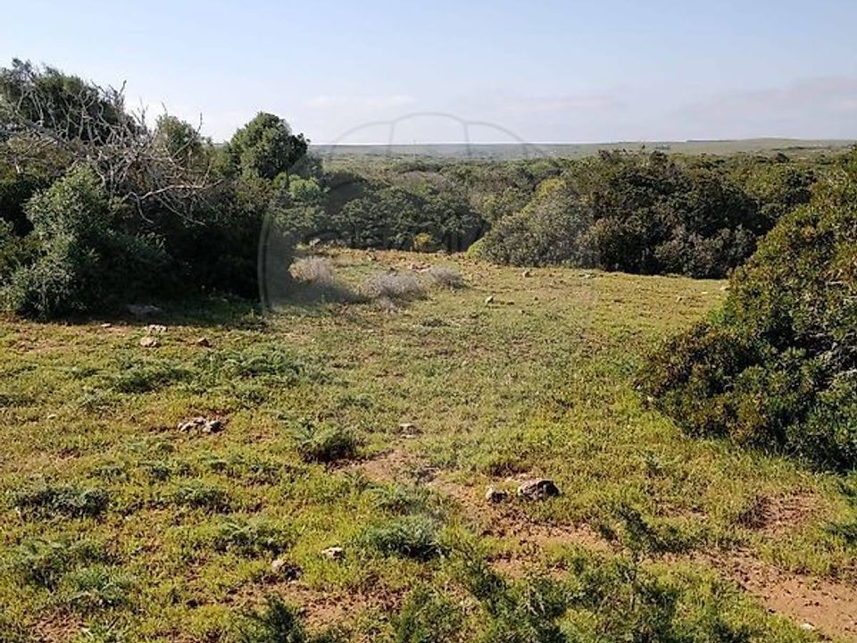 Helårsgrund i Sagres, Faro - foto 1