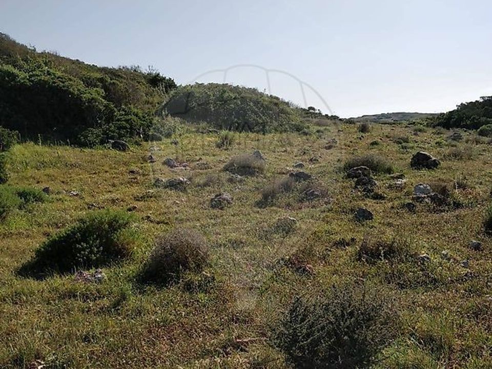 Helårsgrund i Sagres, Faro - foto 3