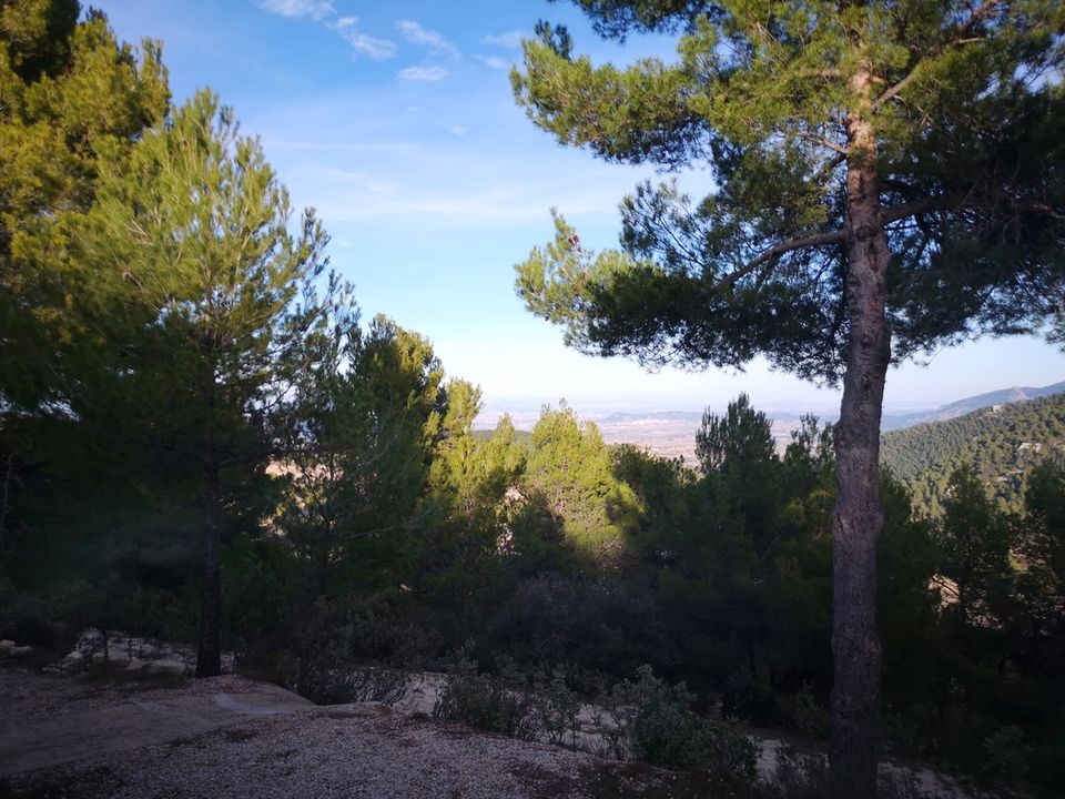 Casa de pueblo en Mula, Murcia - foto 5