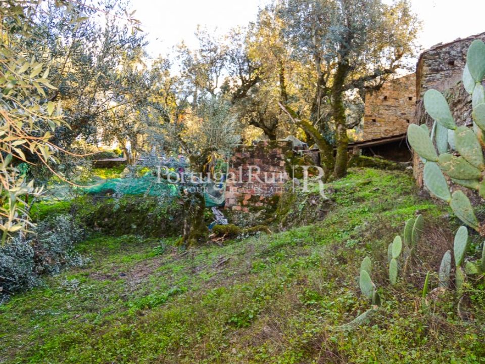 Landhuis in Proenca-a-Nova, Castelo Branco - foto 4