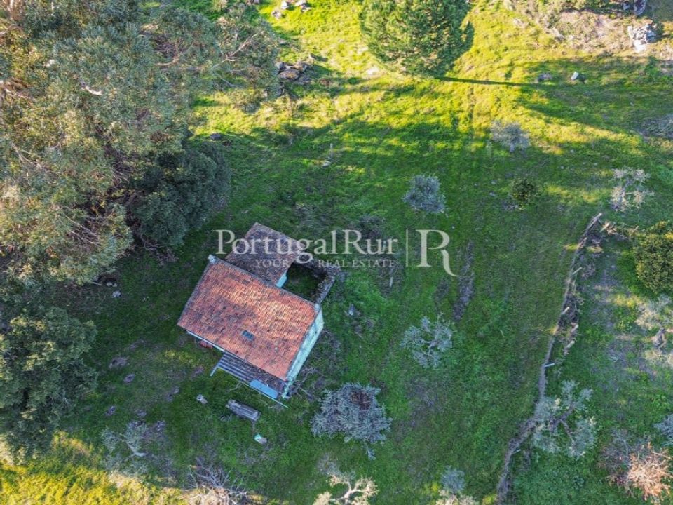 Helårsgrund i Alcains, Castelo Branco - foto 1
