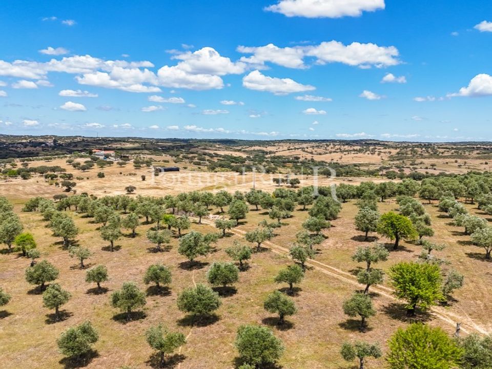 Landejendom i Alandroal, Evora - foto 5