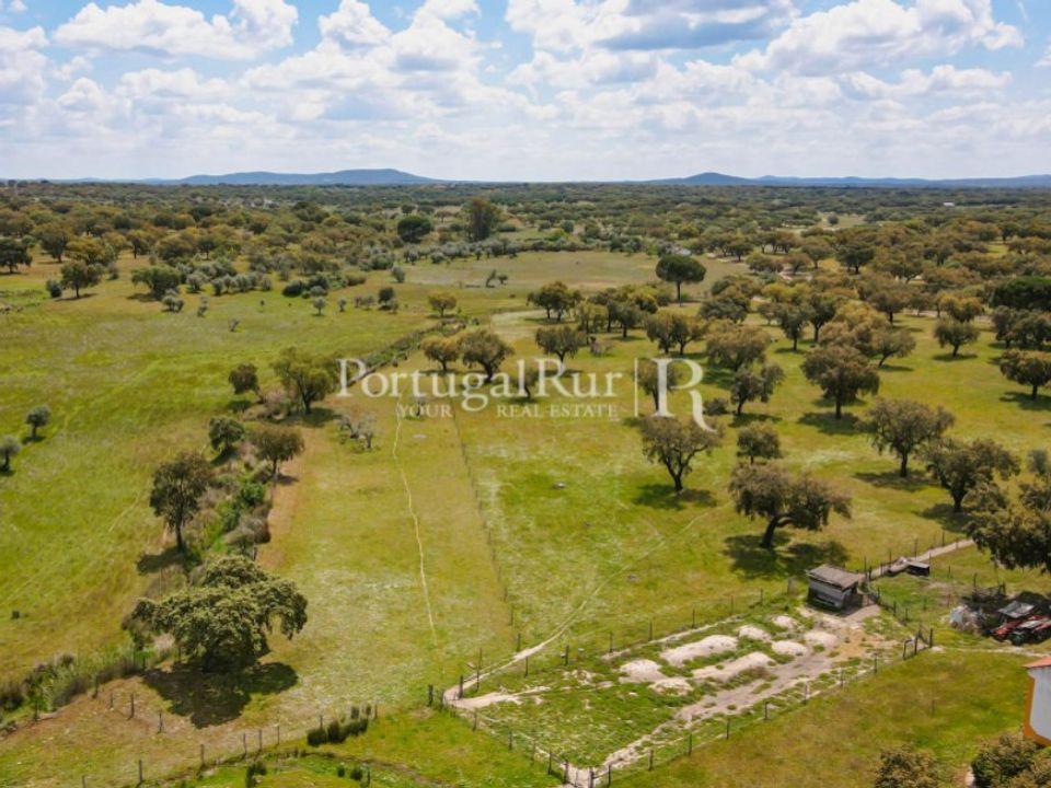 Farm i Mora, Evora - foto 5