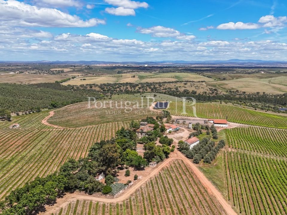 Farm i Sousel, Portalegre - foto 4