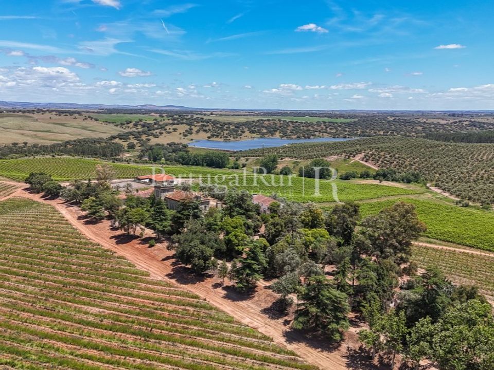 Farm i Sousel, Portalegre - foto 5