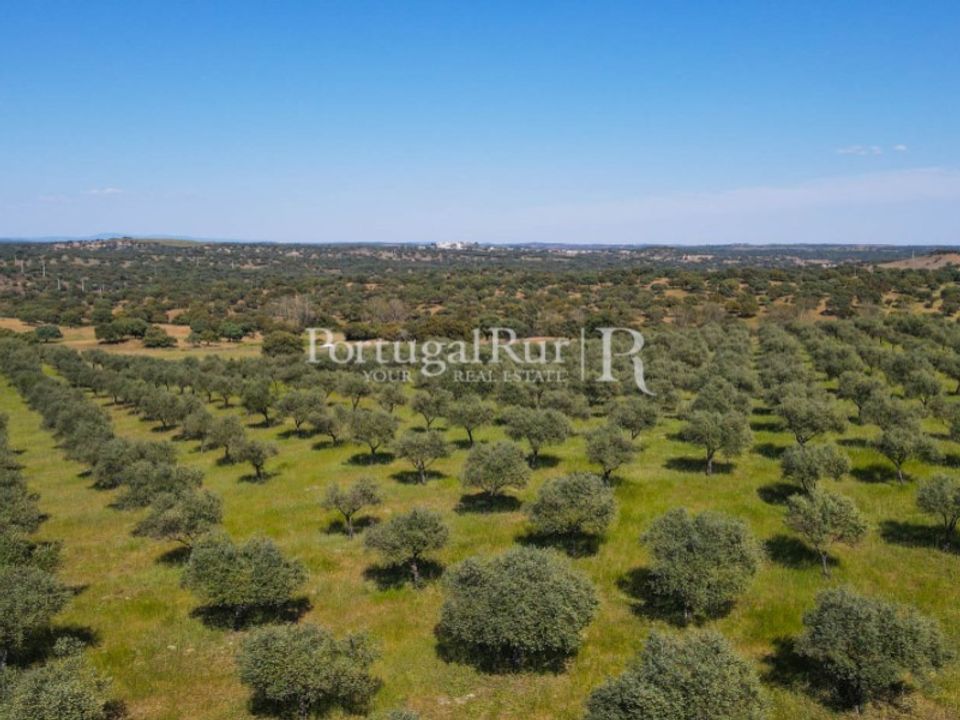 Grond in Avis, Portalegre - foto 1