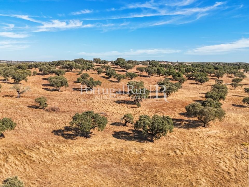 Grond in Avis, Portalegre - foto 3