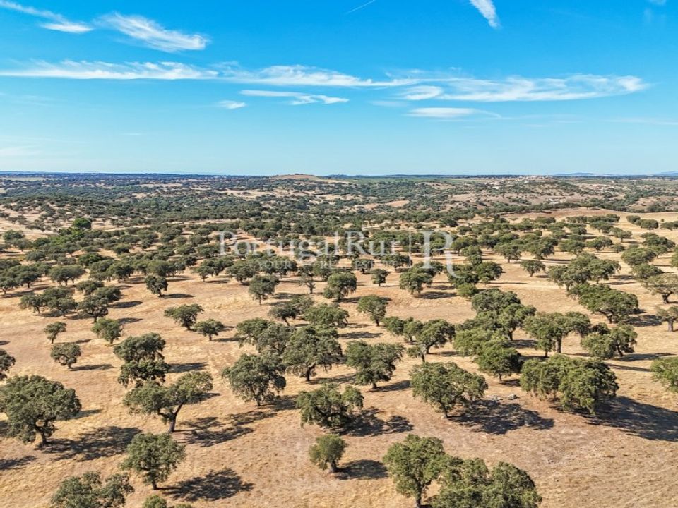 Grond in Avis, Portalegre - foto 4