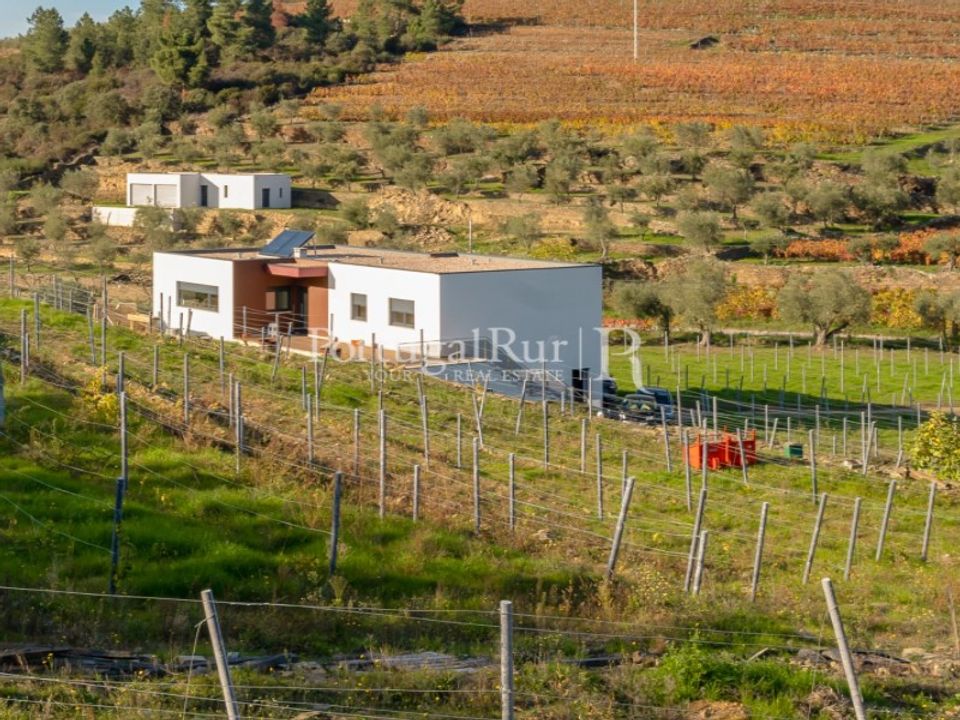 Granja en Tabuaco, Viseu - foto 4