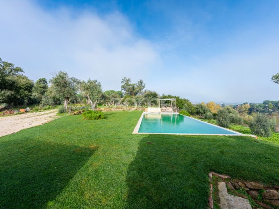 Farm i Asseiceira, Santarem - foto 4