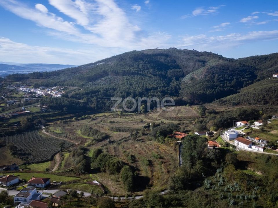 Farm i Felgueiras, Porto - foto 4