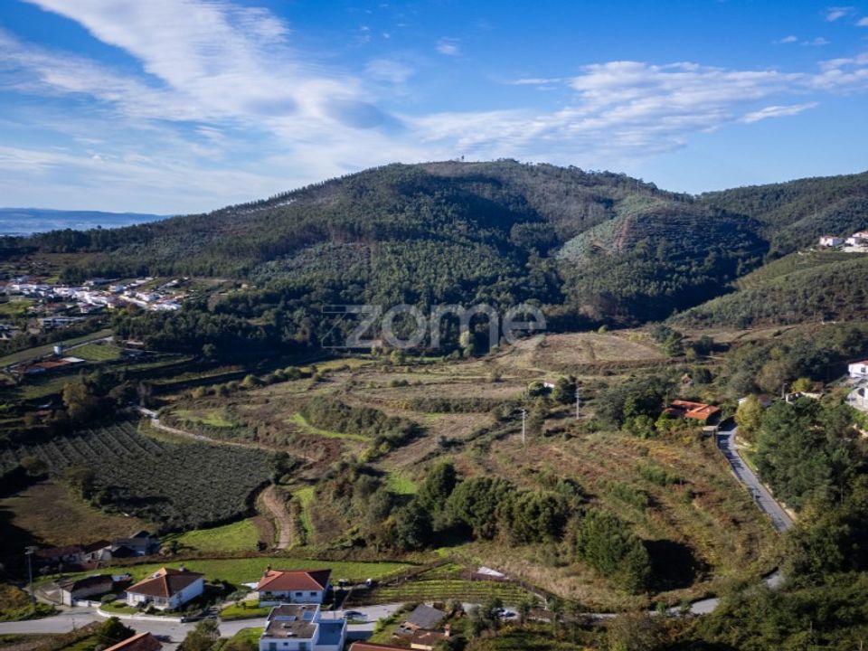 Farm i Felgueiras, Porto - foto 2