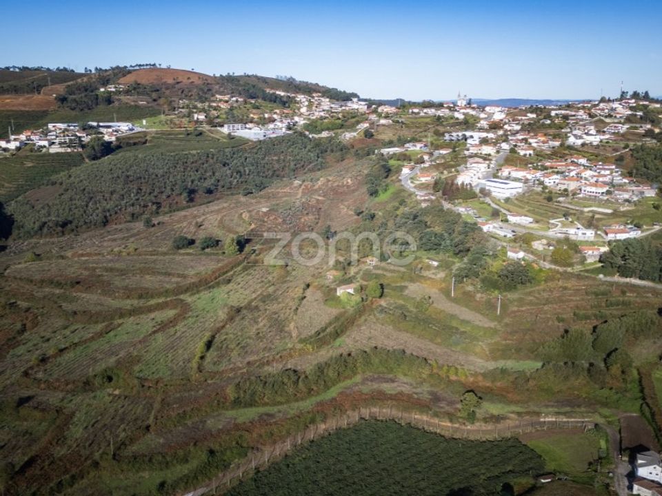 Farm i Felgueiras, Porto - foto 3