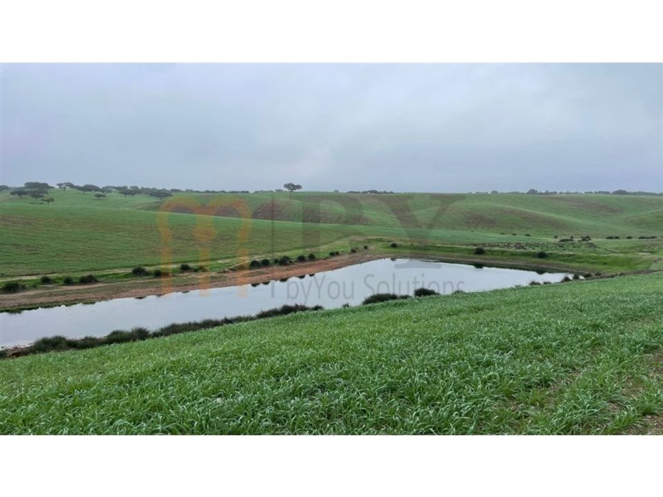 Landejendom i Beja, Beja - foto 2