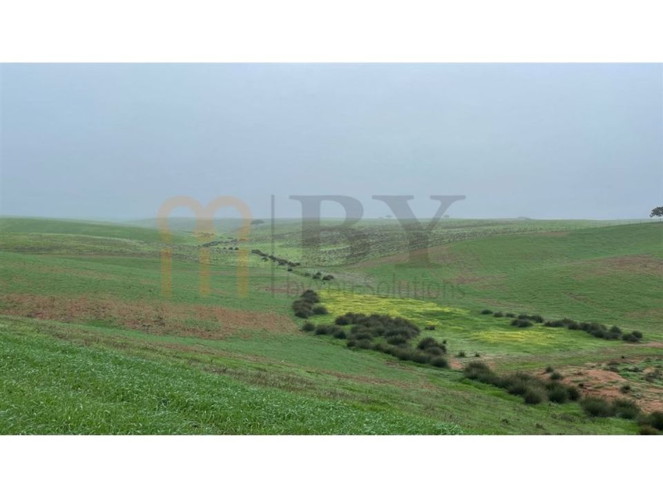 Landejendom i Beja, Beja - foto 3