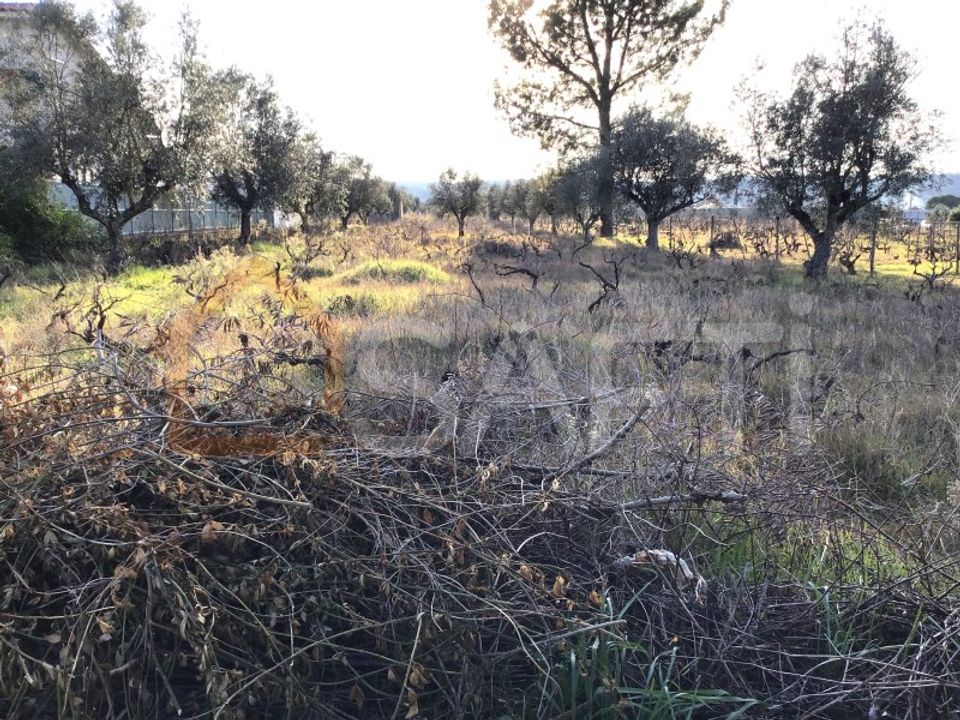 Helårsgrund i Abrantes, Santarem - foto 2