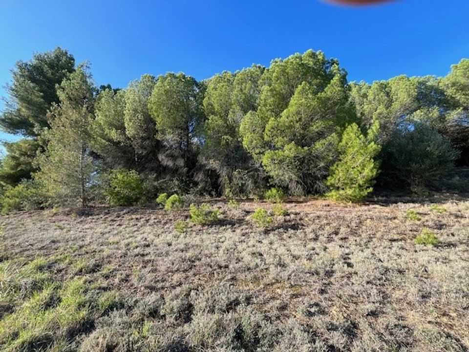 Helårsgrund i Limoux, Aude - foto 4