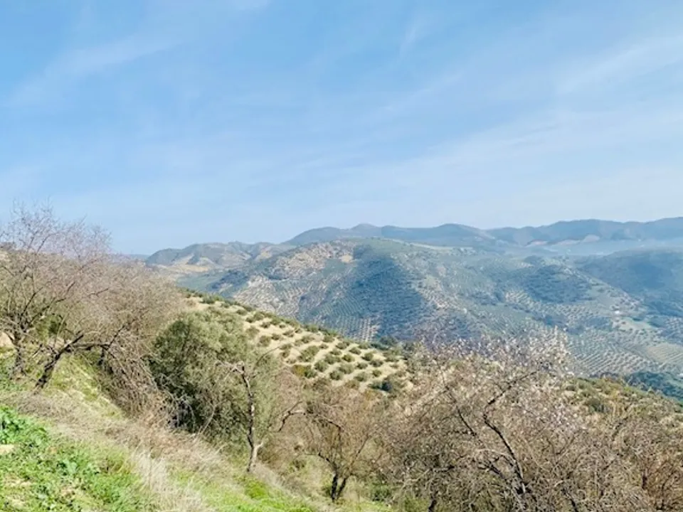 Landejendom i Algarinejo, Granada - foto 2
