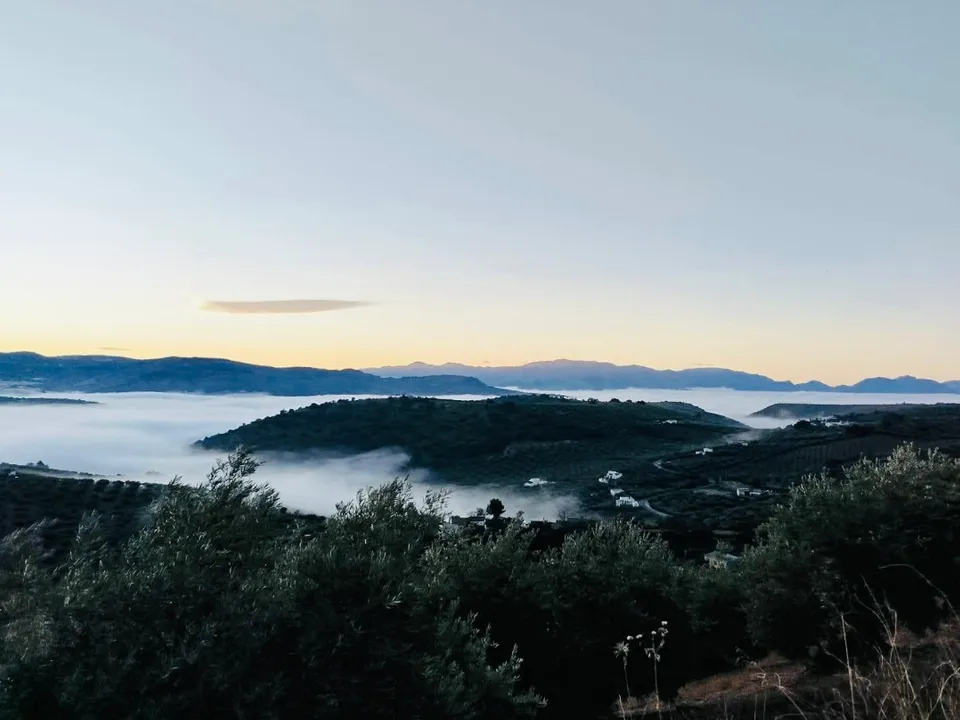 Landejendom i Algarinejo, Granada - foto 4
