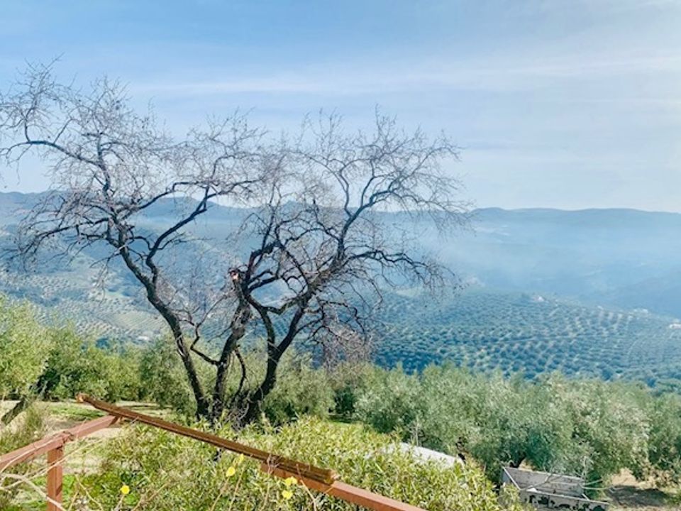 Landejendom i Algarinejo, Granada - foto 3