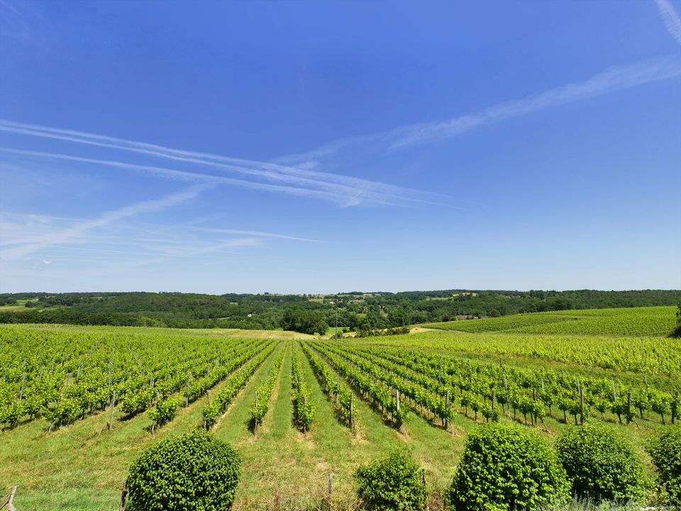Villa i Sainte-Foy-la-Grande, Gironde - foto 5