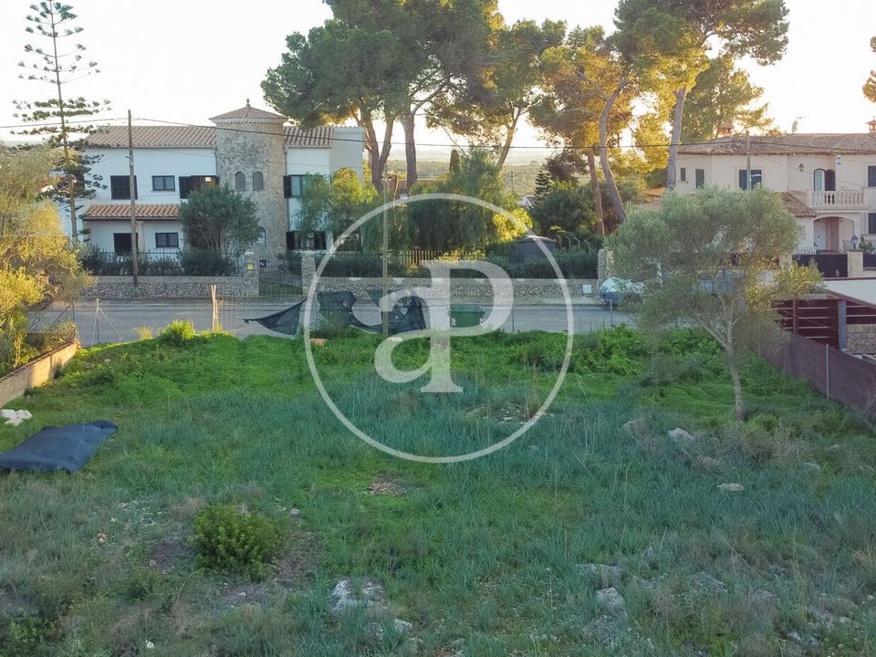 Helårsgrund i Marratxinet (Marratxi), Mallorca - foto 5