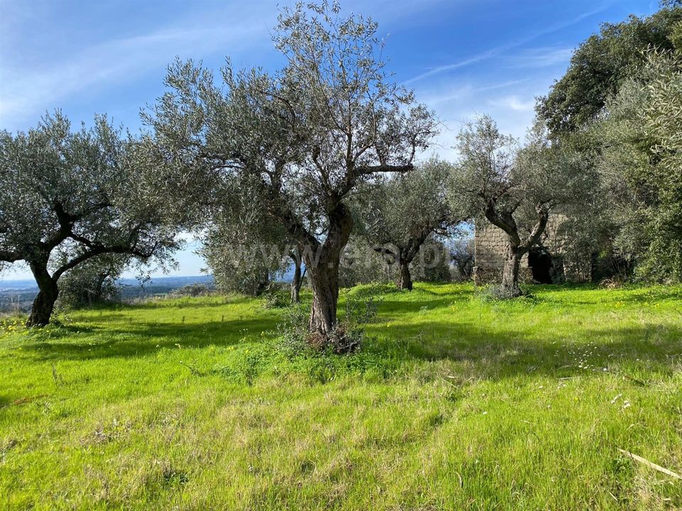 Landejendom i Fundao, Castelo Branco - foto 2