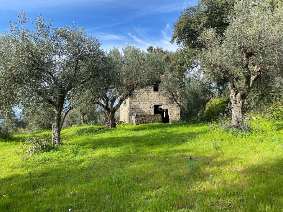 Landejendom i Fundao, Castelo Branco - foto 1