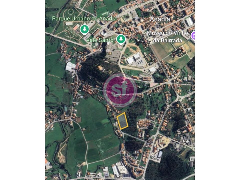 Helårsgrund i Anadia, Aveiro - foto 2