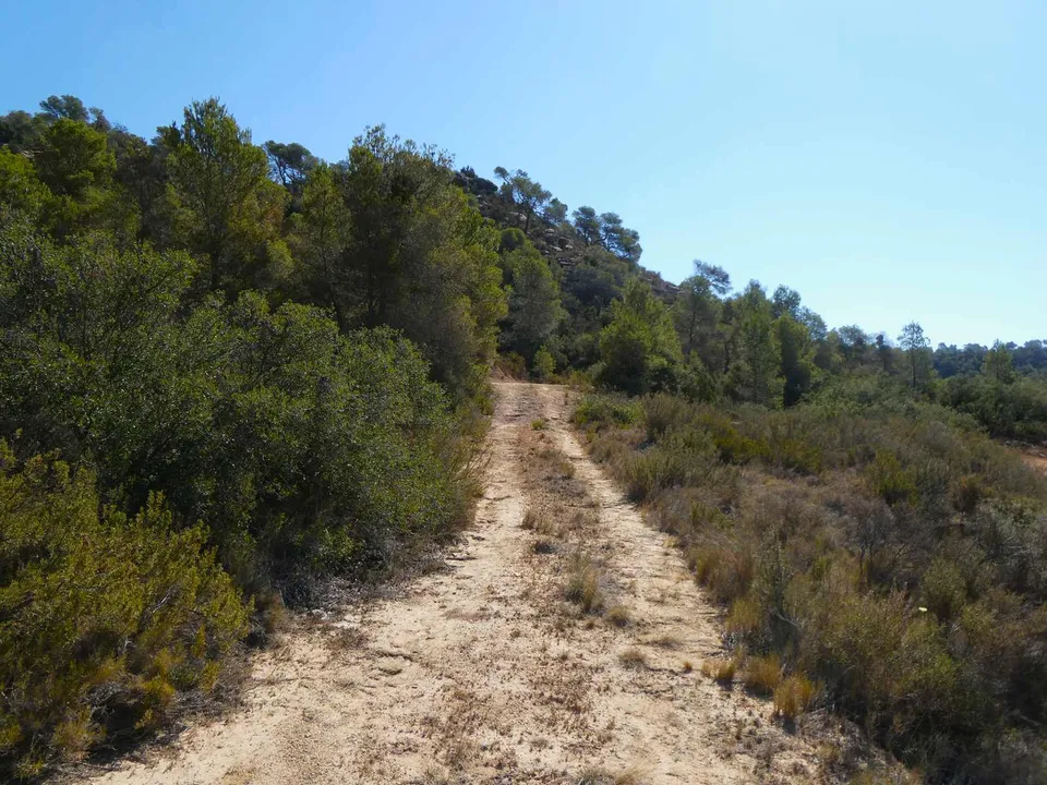 Finca i Maella, Zaragoza - bilde 2