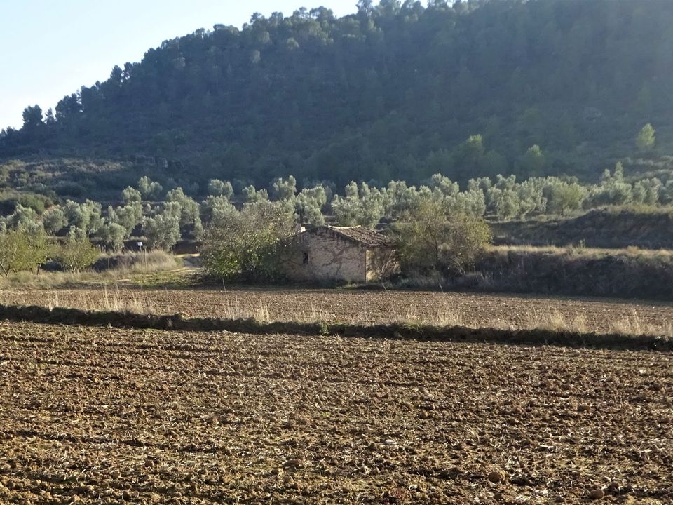 Finca i Maella, Zaragoza - foto 1