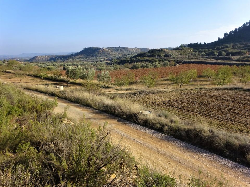 Finca i Maella, Zaragoza - foto 5