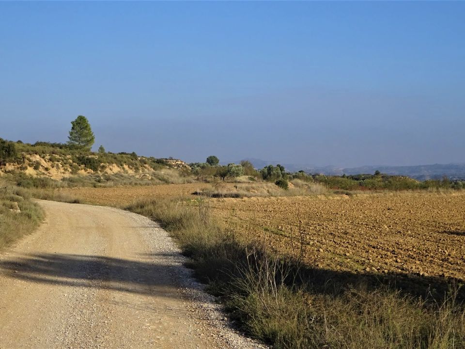 Finca i Maella, Zaragoza - foto 3