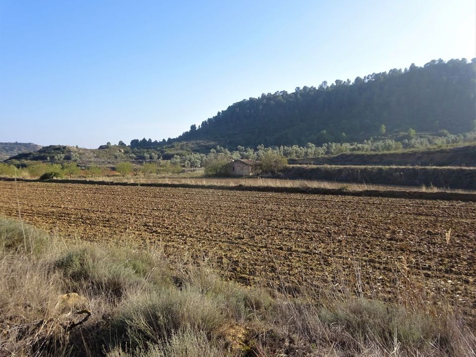 Finca i Maella, Zaragoza - foto 4