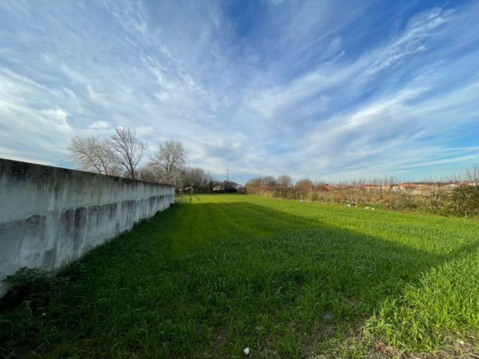 Helårsgrund i Murtosa, Aveiro - foto 3