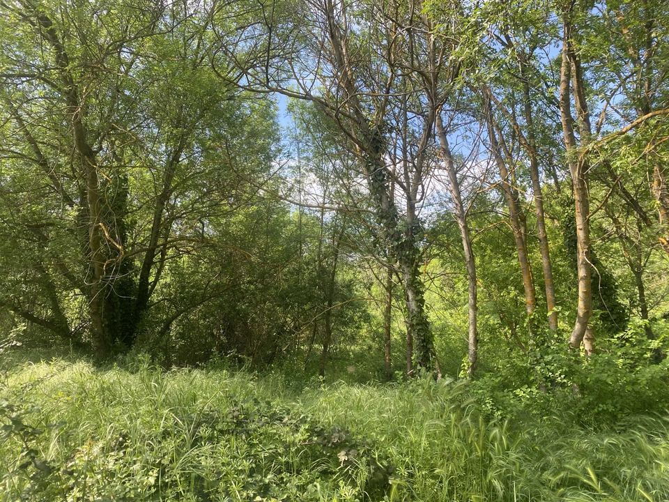 Działka: Carcès, Var – zdjęcie 1