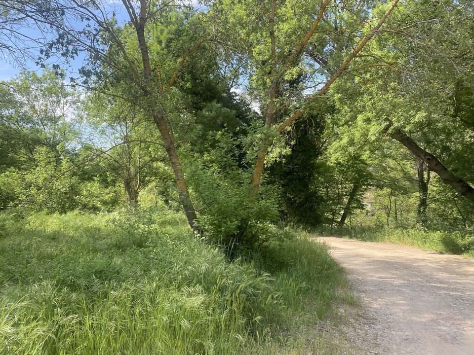 Działka: Carcès, Var – zdjęcie 2