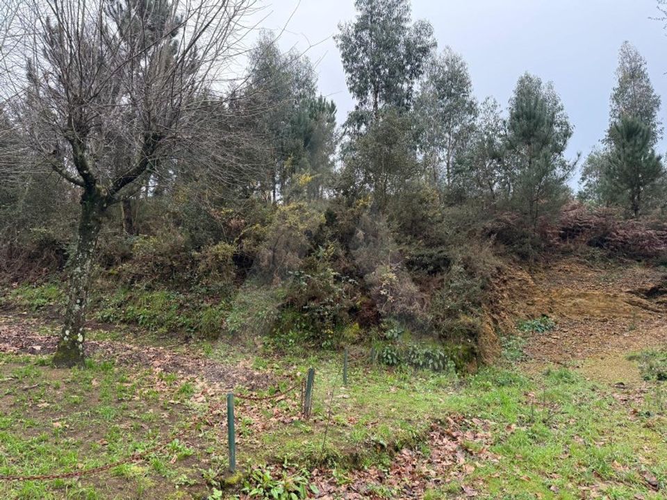 Helårsgrund i Oliveira de Azemeis, Aveiro - foto 1