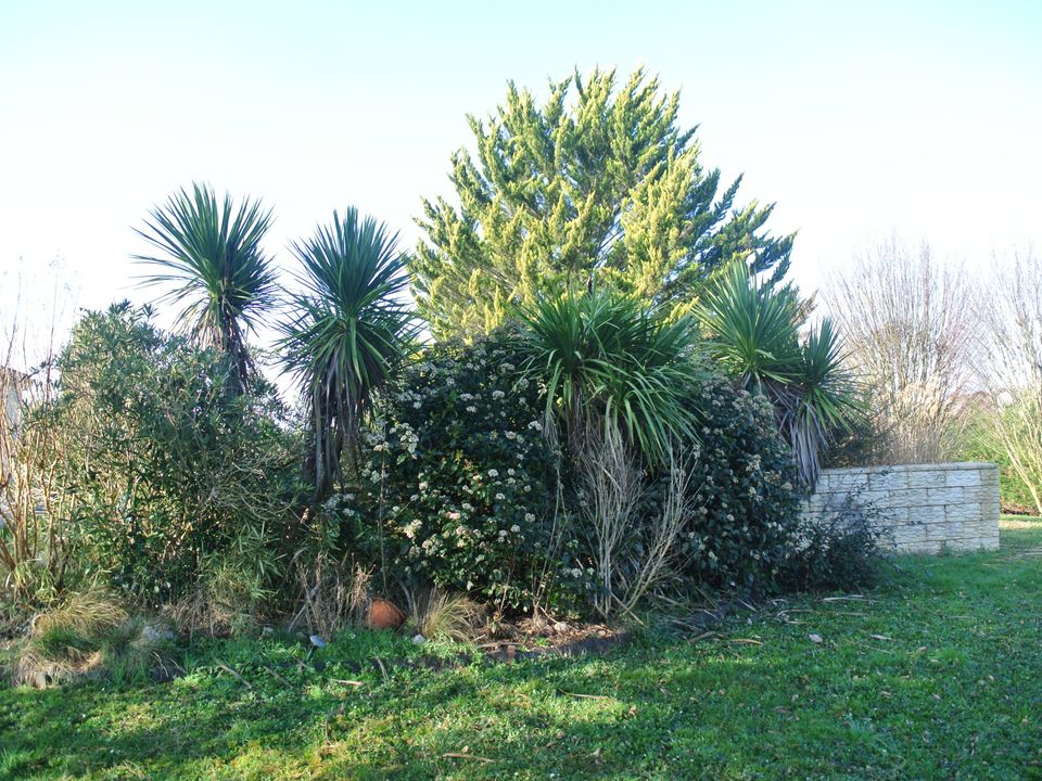 Villa i Miramont-de-Guyenne, Lot-et-Garonne - foto 4