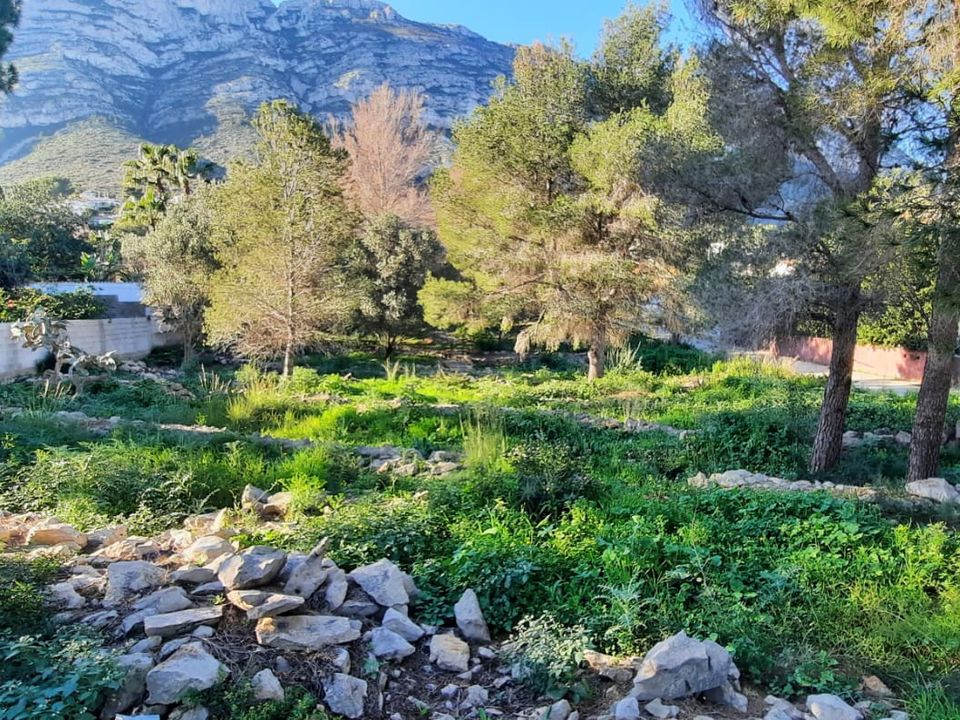 Terra a Denia, Alicante - foto 1