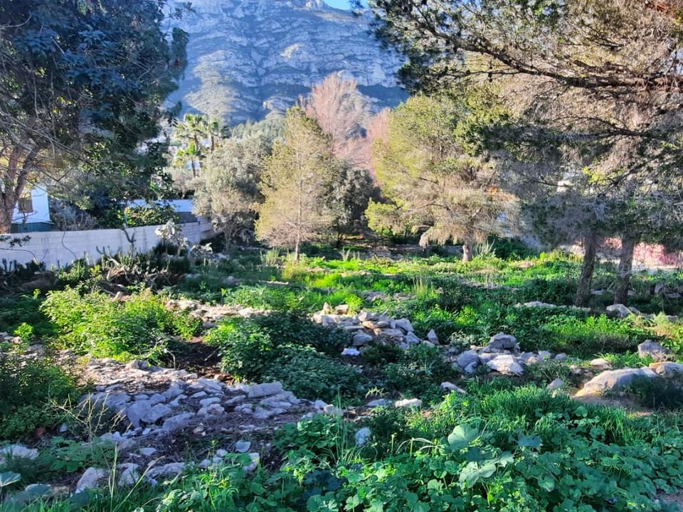 Terra a Denia, Alicante - foto 2