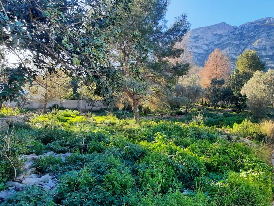 Terra a Denia, Alicante - foto 3