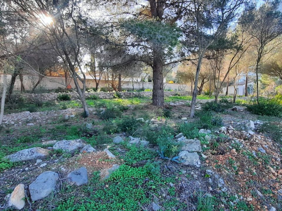 Terra a Denia, Alicante - foto 4